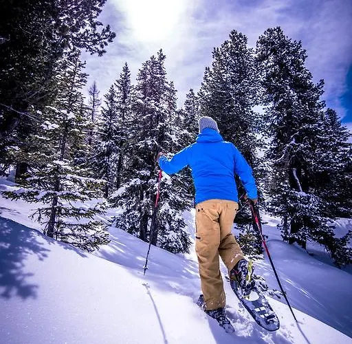Stylish Living Bad Gastein